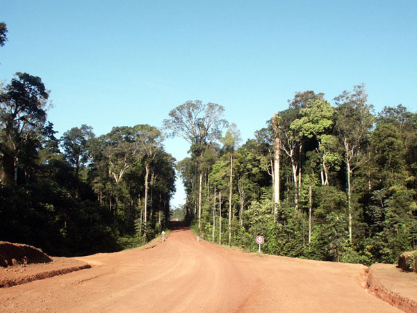 Guyane